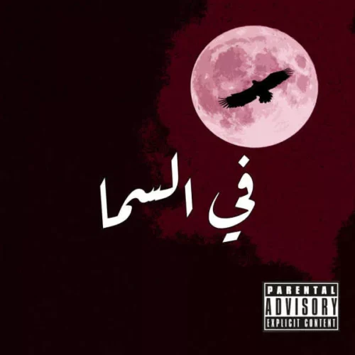 سنجلات