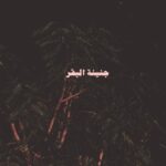 حياتي