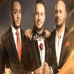 سنجلات