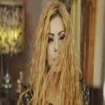 سنجلات