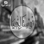 شهاب حسنى – الوقت فات