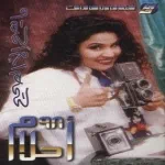 أمير المحبين